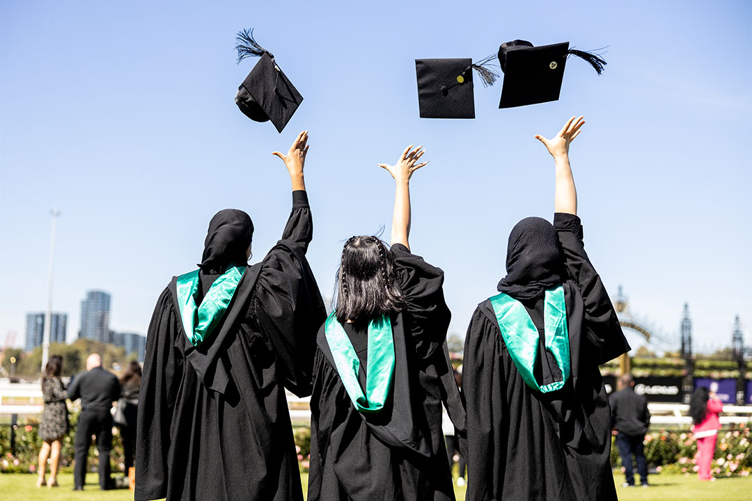 Lost After Graduation? Use These career persona to Finally Find Your Path