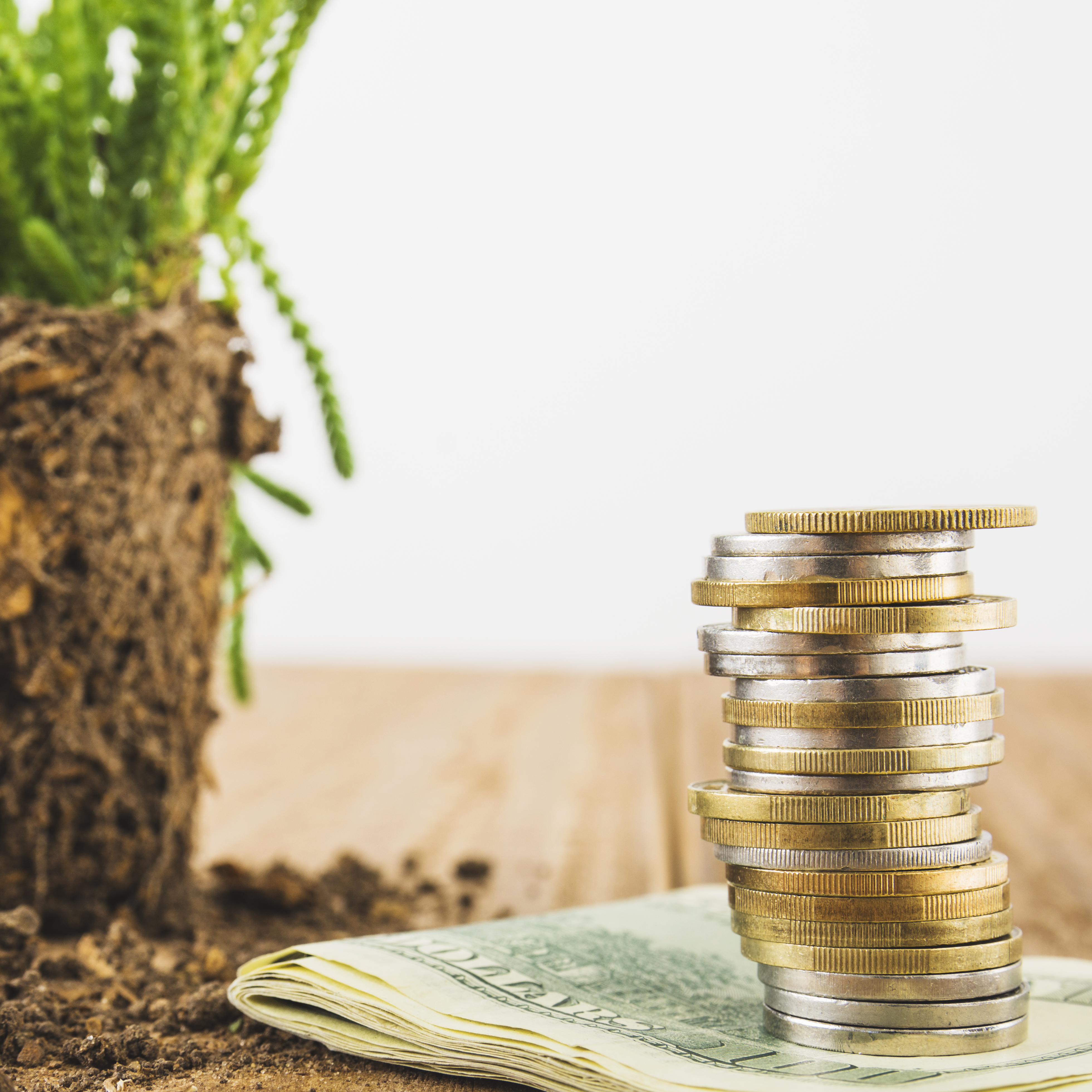 The 10 Financial Transitions Every Young Adult  Faces(and How to Navigate Them)